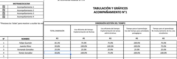 Planilla de Acompañamiento al Aula (Indicadores Ministeriales) - Imagen 6