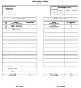 Carga horaria individual (Carga horaria Docente)